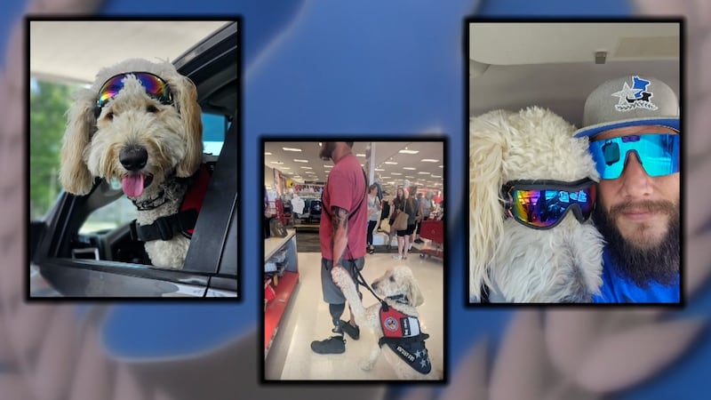 This veteran is using his service dog to regain independence